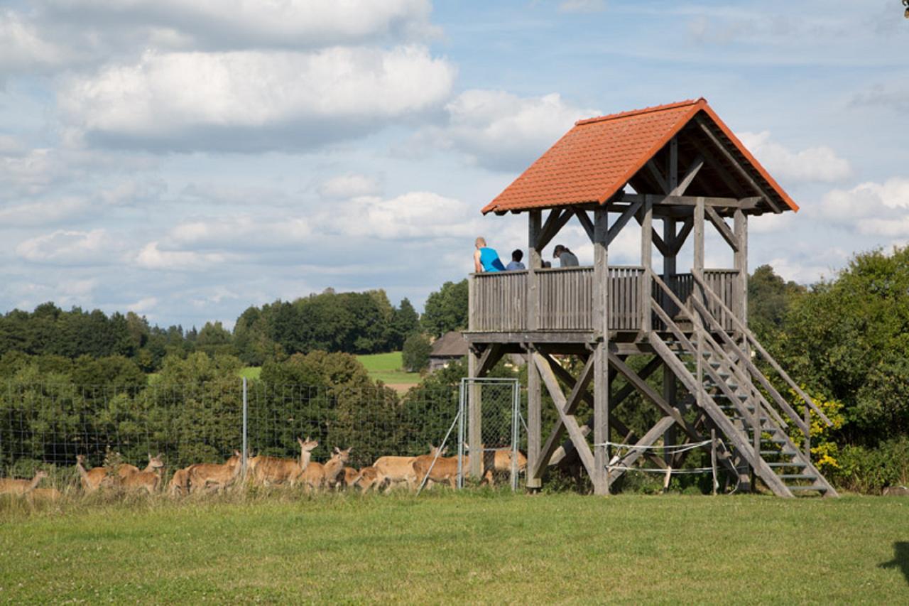 Scheidlerhof Daire Theisseil Dış mekan fotoğraf